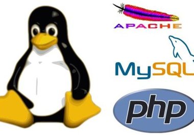 setup and configure Linux, apache, mysql, php on your server or vps or dedicated server big1