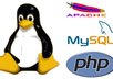 setup and configure Linux, apache, mysql, php on your server or vps or dedicated server