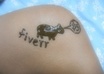 Creativity