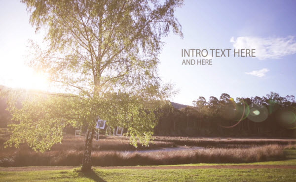 alt_text.html_safe