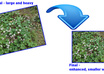 resize your precious large photos