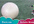have my daughter toddler two year old and her big play group zorbi ball uniquely present Your Message at the Astro Dome