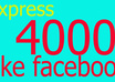get you 3000+ Top quality USA Facebook likes to your fanpage within 20 hours
