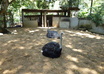 give beautiful uncommon ZOO photo album in Srilanka