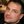activeadam