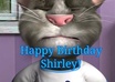 create a personalised birthday message from Talking Tom Cat small1