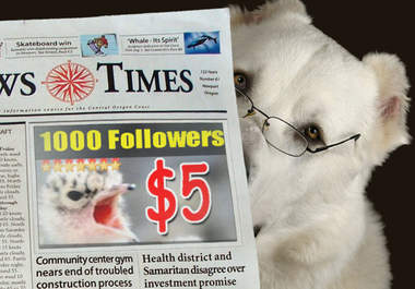 add 1000 real people follow ur twitter big1