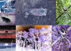 send you some of my photography prints small1
