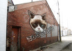 turn your image or logo into realistic graffiti on a wall