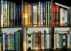 provide you with cliff notes/synopsis of popular books