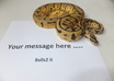 take a picture of any message with one of my snakes