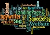 write perfect and most persuasive 150 Words for your Landing Page small1