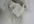 draw your portrait using pencil color and make it simple by my own style
