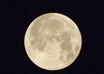 give you a one question psychic email reading with transcript