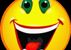 Directory_links