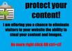 protect your website from copy and paste