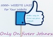 Seo service