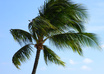 beat travel deals you find online
