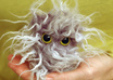 mail you a furry alien