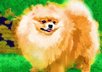 turn your favorite pets photo into dazzling art