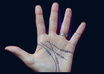 read your palm in detail