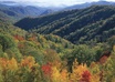 mail you a postcard from The Smoky Mountains in TN