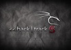 test your web application security