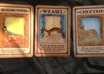 interpret your dream AND do a Tarrot card reading