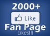 give you 2,000 to 3,000 genuine facebook fan page LIKES
