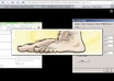give you a classy footer for your website