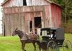 send an Ebook pdf. format with 65 Amish Recipes, 66 pages, Eamil Attachment.