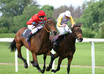 Horse-racing-4