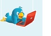give you 500 real twitter followers