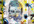 add text and/or website addresses to my videos
