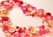 write a message of your choice using flower petals and multicoloured leaves