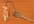 send you a random key strap from Japan