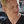 bradlovgren