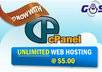 manually send your offer to 1,200 double optin Opportunity business seekers leads highly responsive