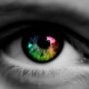 visionaryone