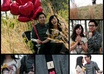 Fpicmonkey_collage