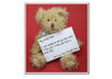 have my teddy bear hold a sign with your message small1