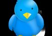 give you php code to pull in your Tweets On your site