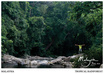 send you a postcard from Malaysia