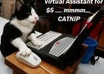 Catoncomp