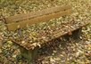 write your name on an old bench