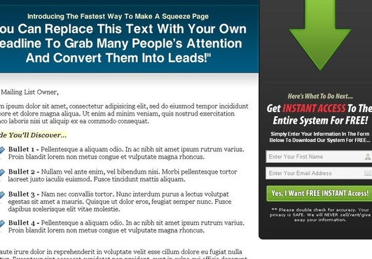 create an eye catching squeeze page big1