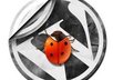 fix bugs related to wordpress or thesis theme