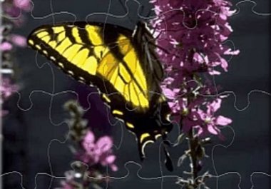 create a fun, interactive jigsaw puzzle from your photo big1