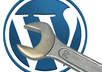 install and setup you a perfect SEO friendly Wordpress with theme of your choice and all necessary plugins