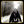 the_fall3n